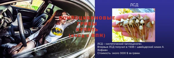 мет Алзамай