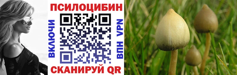 купить наркотики сайты  Любань  маркетплейс Telegram  Галлюциногенные грибы Psilocybe 